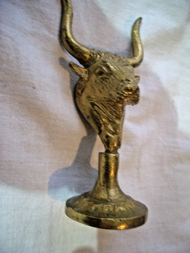 Kopf figur hochlandkuh bulle - kopf,